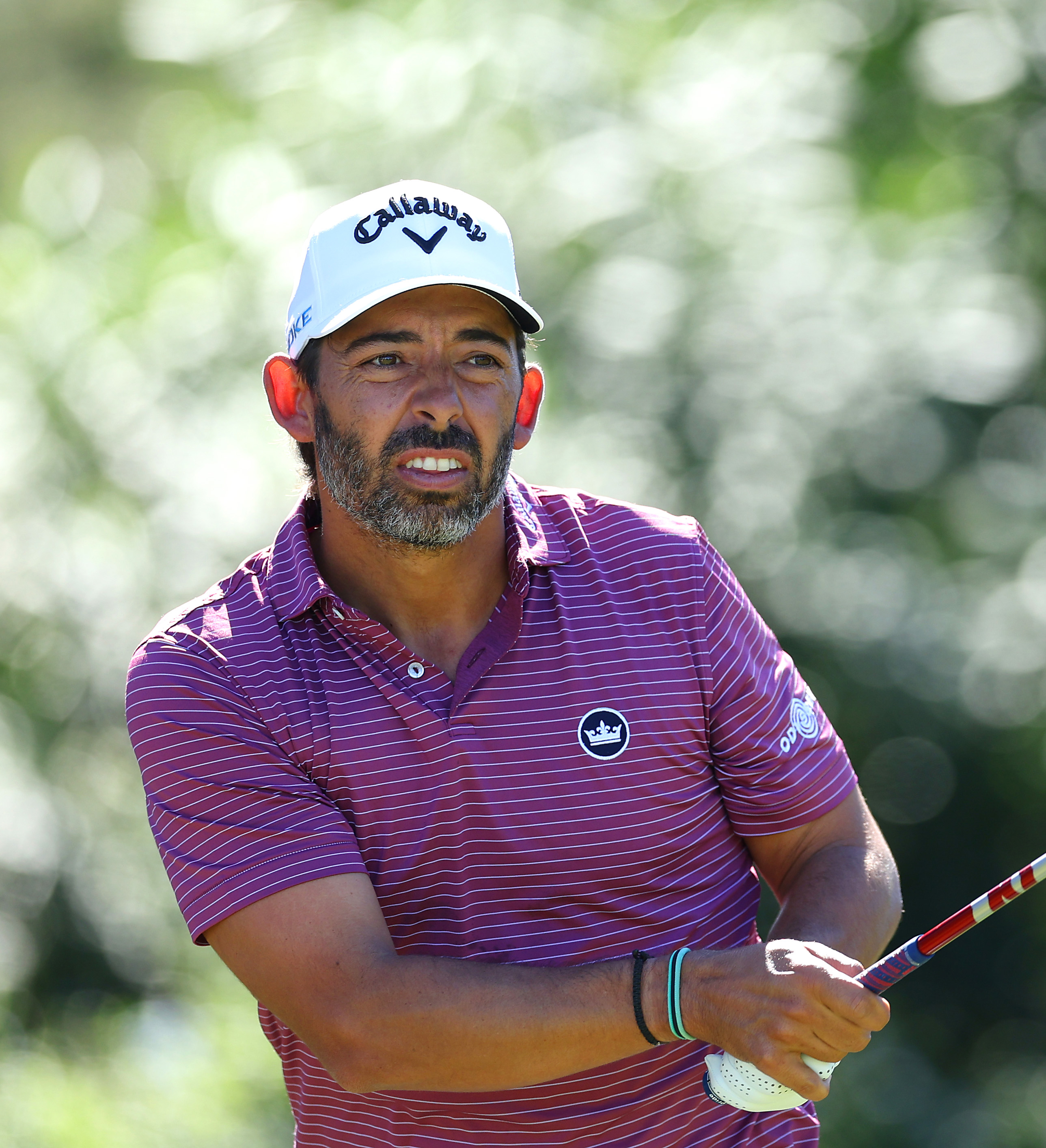 ngc-pablo-larrazábal